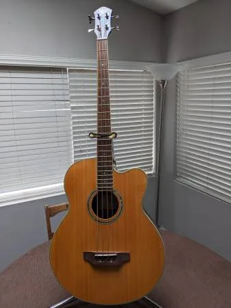 Michael Kelly acoustic electric bass guitar