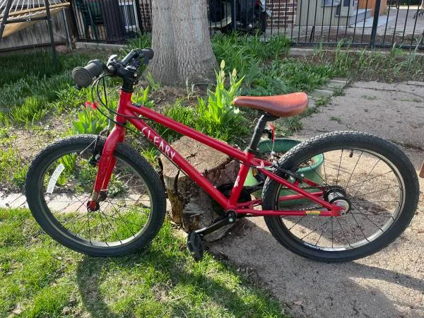 kids bike 20 inch cleary owl